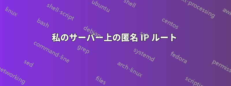 私のサーバー上の匿名 IP ルート