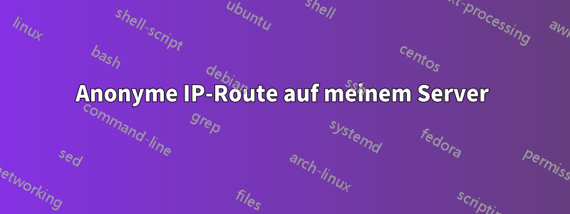 Anonyme IP-Route auf meinem Server