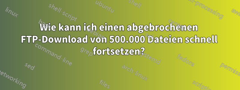 Wie kann ich einen abgebrochenen FTP-Download von 500.000 Dateien schnell fortsetzen?