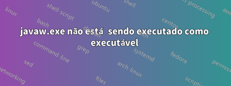 javaw.exe não está sendo executado como executável