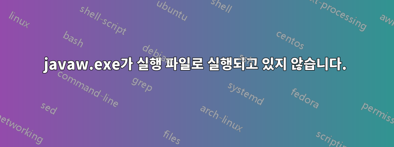 javaw.exe가 실행 파일로 실행되고 있지 않습니다.