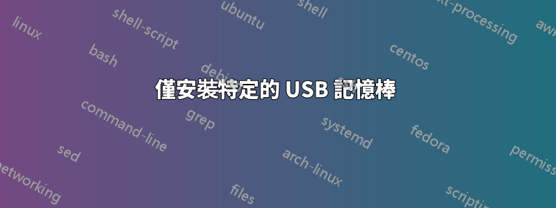 僅安裝特定的 USB 記憶棒