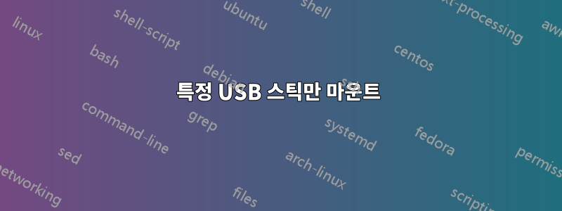 특정 USB 스틱만 마운트