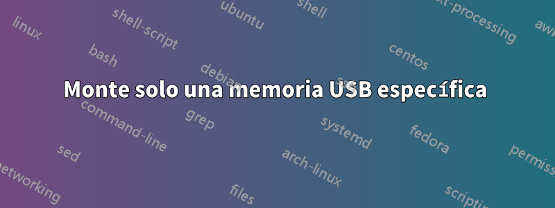 Monte solo una memoria USB específica