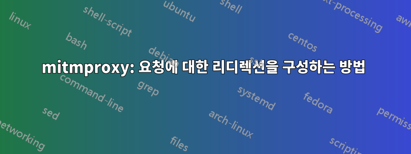 mitmproxy: 요청에 대한 리디렉션을 구성하는 방법