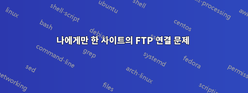 나에게만 한 사이트의 FTP 연결 문제