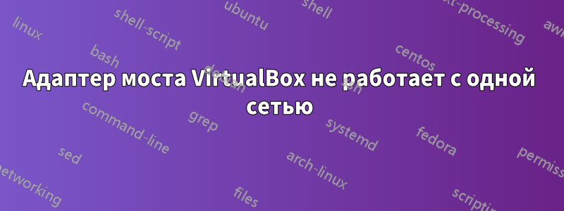 Адаптер моста VirtualBox не работает с одной сетью