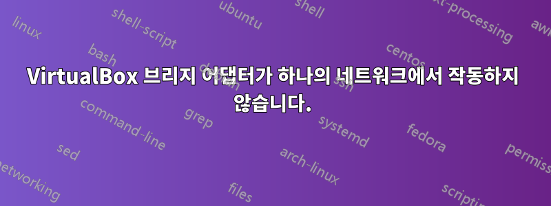 VirtualBox 브리지 어댑터가 하나의 네트워크에서 작동하지 않습니다.