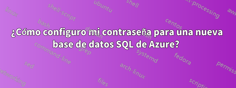 ¿Cómo configuro mi contraseña para una nueva base de datos SQL de Azure? 