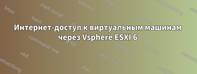 Интернет-доступ к виртуальным машинам через Vsphere ESXI 6