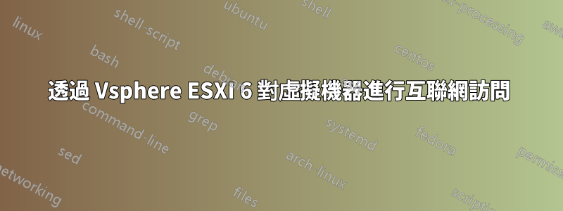 透過 Vsphere ESXI 6 對虛擬機器進行互聯網訪問