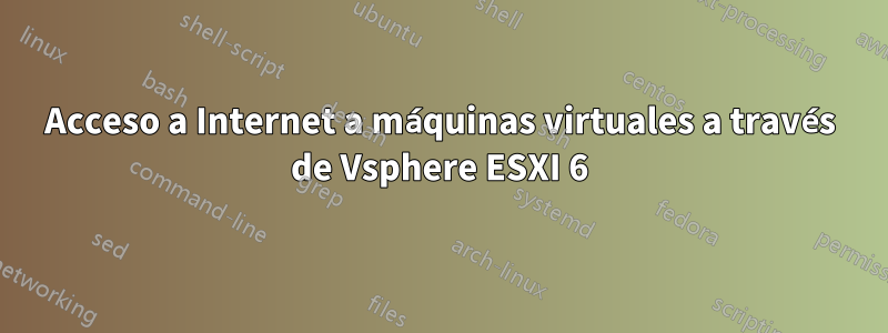 Acceso a Internet a máquinas virtuales a través de Vsphere ESXI 6