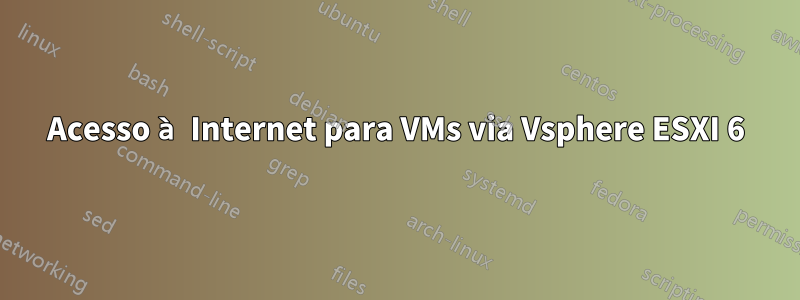 Acesso à Internet para VMs via Vsphere ESXI 6