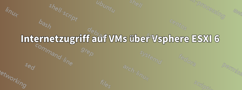 Internetzugriff auf VMs über Vsphere ESXI 6