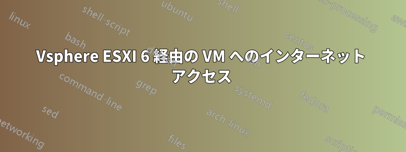 Vsphere ESXI 6 経由の VM へのインターネット アクセス