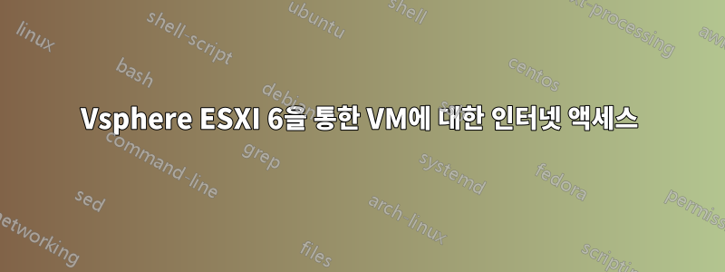 Vsphere ESXI 6을 통한 VM에 대한 인터넷 액세스