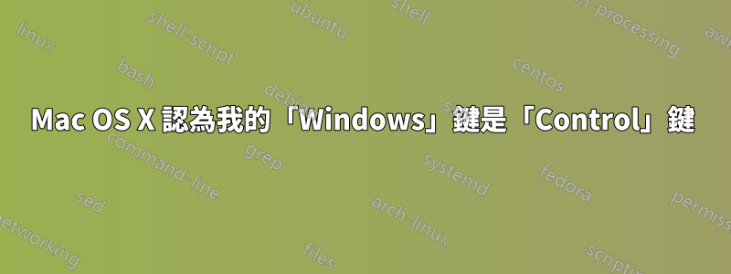 Mac OS X 認為我的「Windows」鍵是「Control」鍵