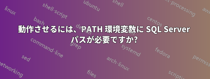 動作させるには、PATH 環境変数に SQL Server パスが必要ですか?