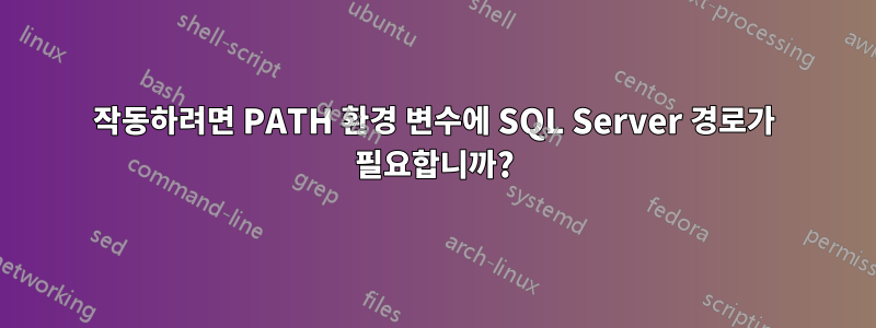 작동하려면 PATH 환경 변수에 SQL Server 경로가 필요합니까?