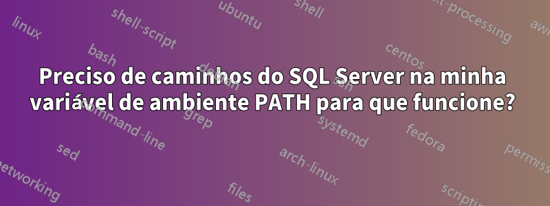 Preciso de caminhos do SQL Server na minha variável de ambiente PATH para que funcione?