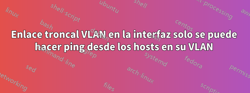 Enlace troncal VLAN en la interfaz solo se puede hacer ping desde los hosts en su VLAN