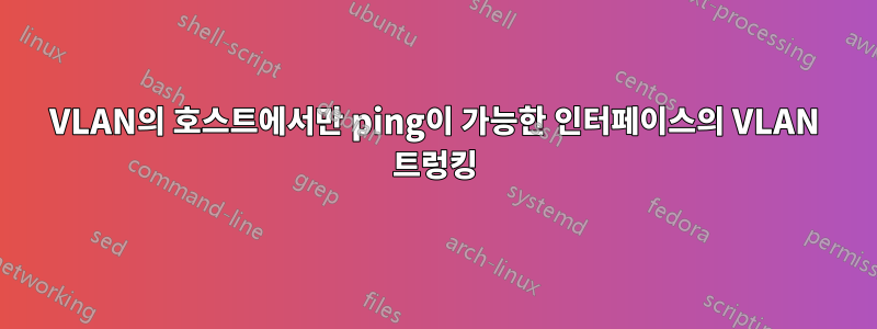 VLAN의 호스트에서만 ping이 가능한 인터페이스의 VLAN 트렁킹