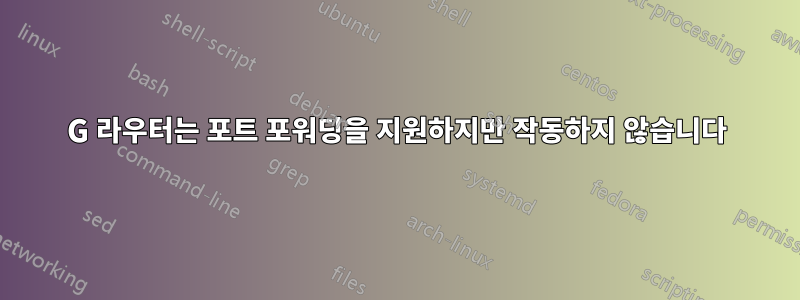 3G 라우터는 포트 포워딩을 지원하지만 작동하지 않습니다