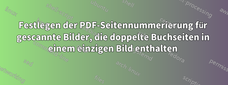 Festlegen der PDF-Seitennummerierung für gescannte Bilder, die doppelte Buchseiten in einem einzigen Bild enthalten