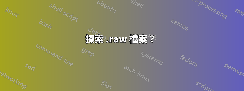 探索 .raw 檔案？