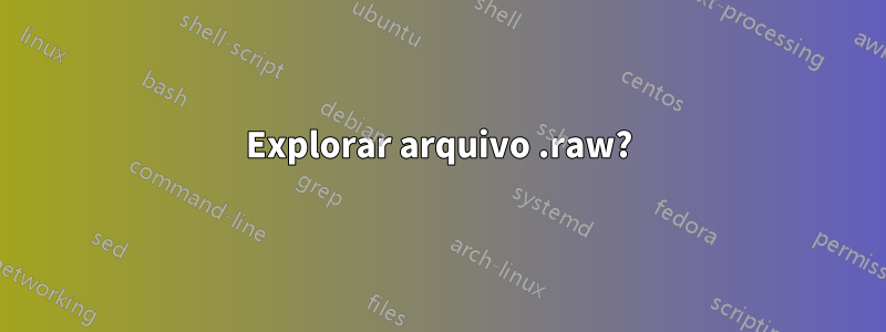 Explorar arquivo .raw?