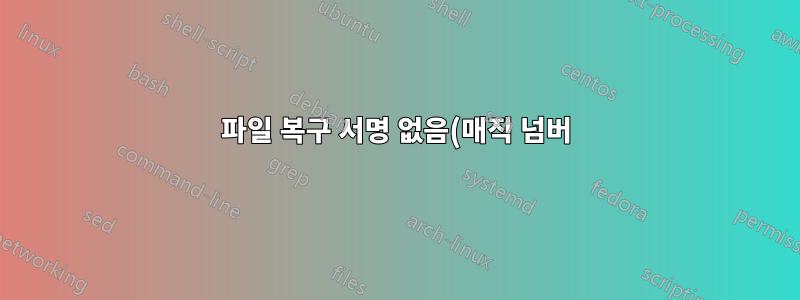 파일 복구 서명 없음(매직 넘버)