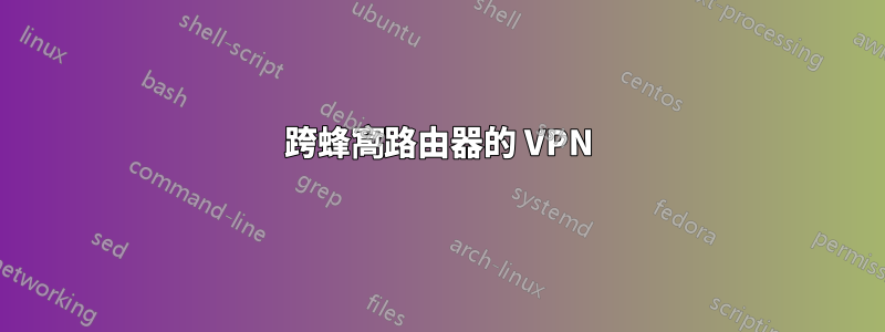 跨蜂窩路由器的 VPN