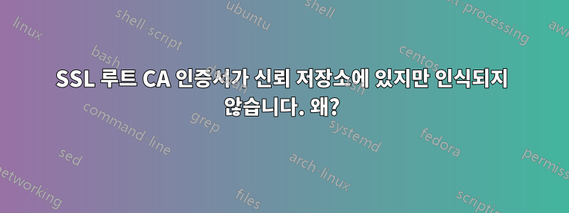 SSL 루트 CA 인증서가 신뢰 저장소에 있지만 인식되지 않습니다. 왜?