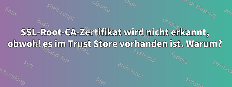 SSL-Root-CA-Zertifikat wird nicht erkannt, obwohl es im Trust Store vorhanden ist. Warum?