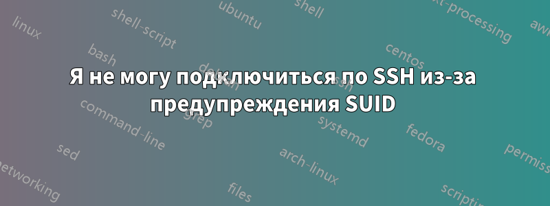 Я не могу подключиться по SSH из-за предупреждения SUID