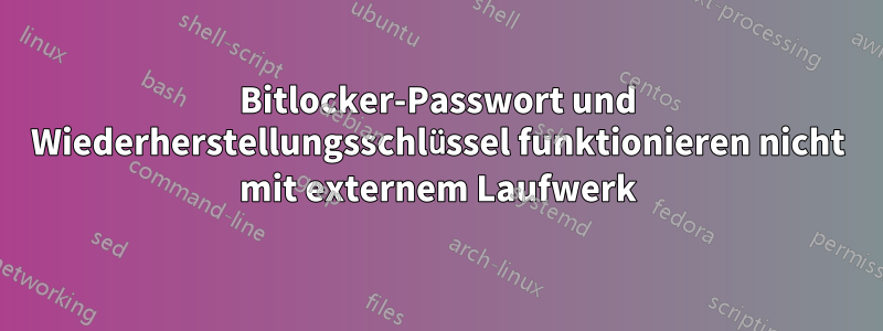 Bitlocker-Passwort und Wiederherstellungsschlüssel funktionieren nicht mit externem Laufwerk