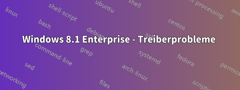 Windows 8.1 Enterprise - Treiberprobleme