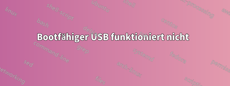 Bootfähiger USB funktioniert nicht 