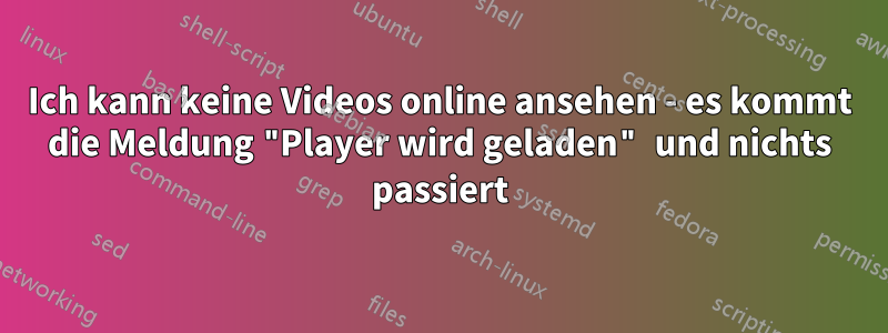 Ich kann keine Videos online ansehen - es kommt die Meldung "Player wird geladen" und nichts passiert