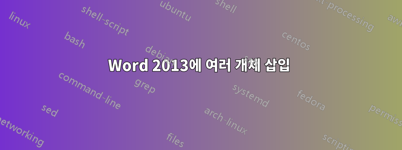 Word 2013에 여러 개체 삽입