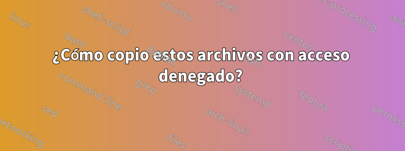 ¿Cómo copio estos archivos con acceso denegado?