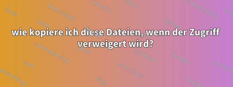 wie kopiere ich diese Dateien, wenn der Zugriff verweigert wird?