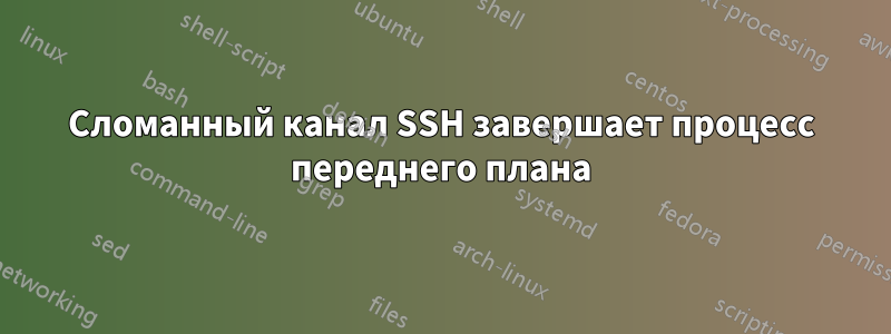 Сломанный канал SSH завершает процесс переднего плана