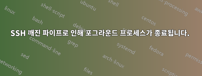 SSH 깨진 파이프로 인해 포그라운드 프로세스가 종료됩니다.