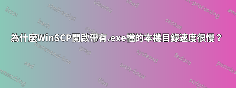 為什麼WinSCP開啟帶有.exe檔的本機目錄速度很慢？