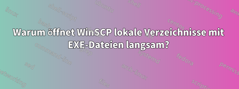 Warum öffnet WinSCP lokale Verzeichnisse mit EXE-Dateien langsam?