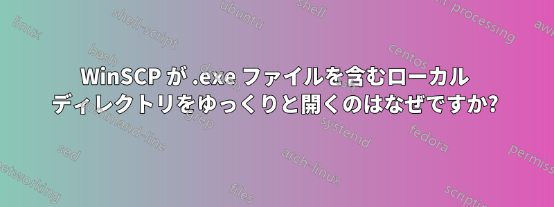 WinSCP が .exe ファイルを含むローカル ディレクトリをゆっくりと開くのはなぜですか?