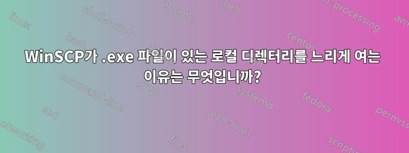 WinSCP가 .exe 파일이 있는 로컬 디렉터리를 느리게 여는 이유는 무엇입니까?