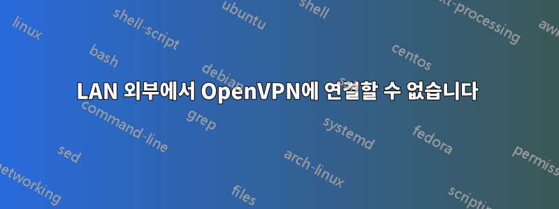 LAN 외부에서 OpenVPN에 연결할 수 없습니다