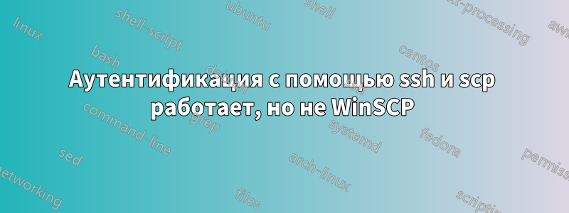Аутентификация с помощью ssh и scp работает, но не WinSCP